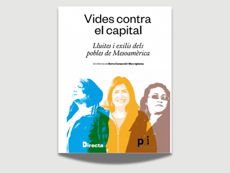 2020: Vidas contra el capital. Luchas y exilios de los pueblos de Mesoamérica