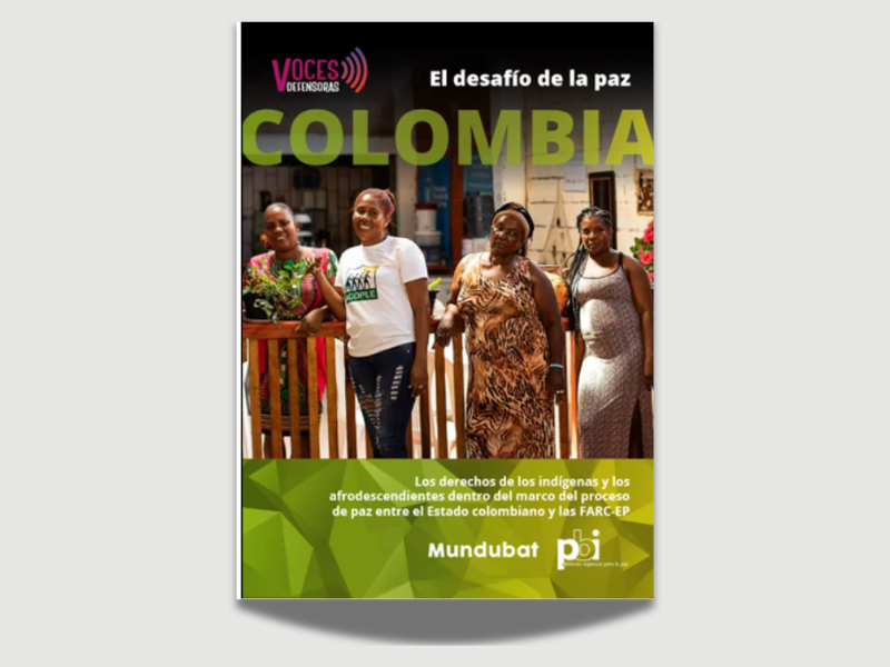 2019: Colombia. El desafío de la paz. Los derechos de los indígenas y los afrodescendientes dentro del marco del proceso de paz entre el Estado colombiano y las FARC-EP