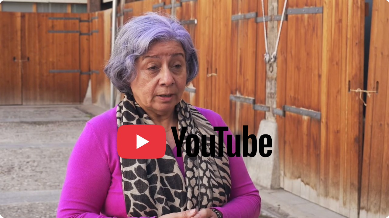 Seminario internacional «Criminalización de la defensa de los derechos humanos en América Latina y Europa.